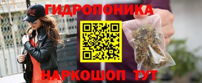 стафф Краснокаменск