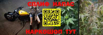 эйфоретик Краснодар