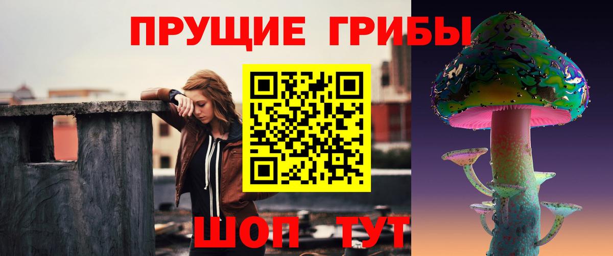 Йошкар-Ола  Галлюциногенные грибы MAGIC MUSHROOMS  Вход с VPN 